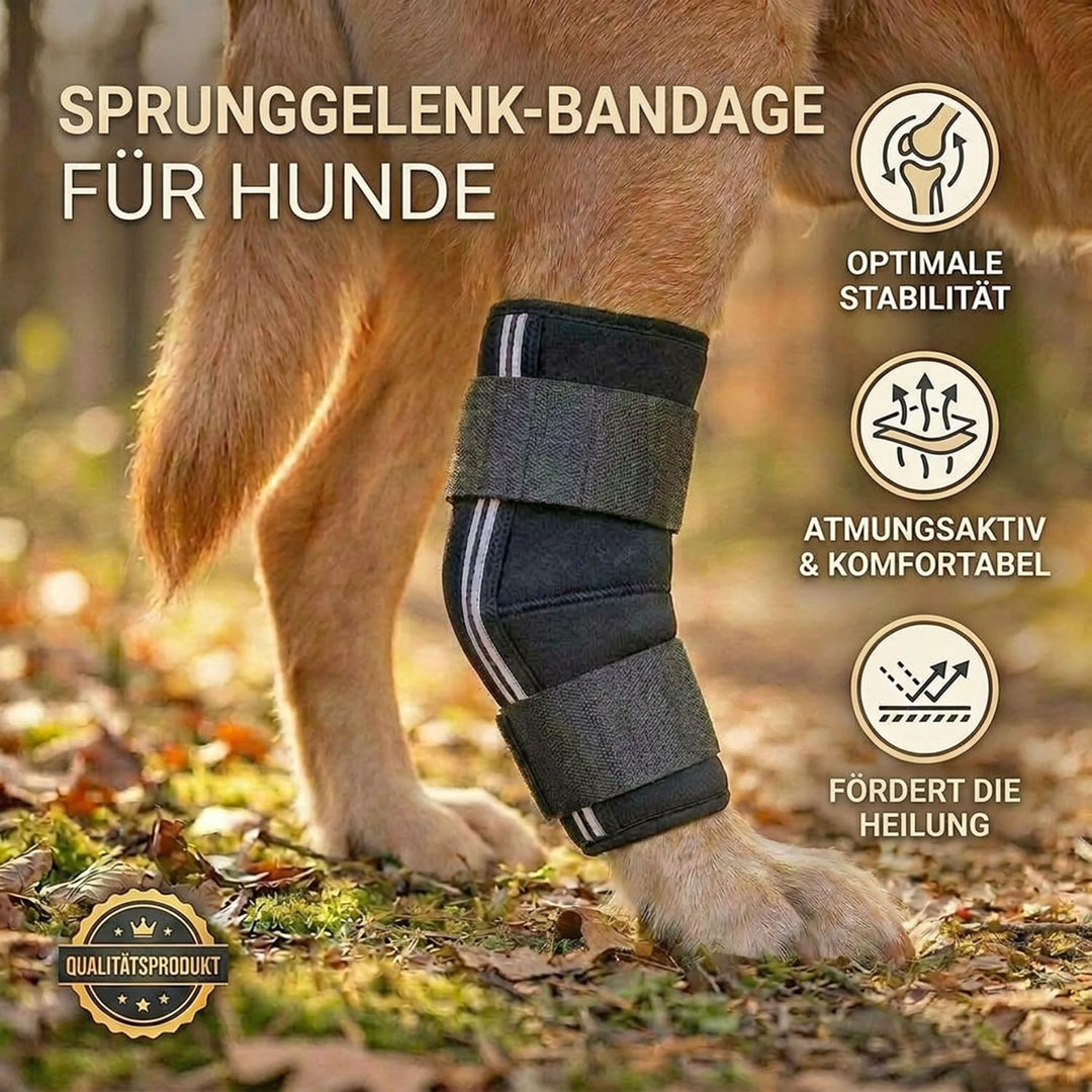 Nature Pet Sprunggelenk Schutz Bandage 165° Winkel für Hunde/Tarsalgelenk Bandage für Hunde (XS), XS