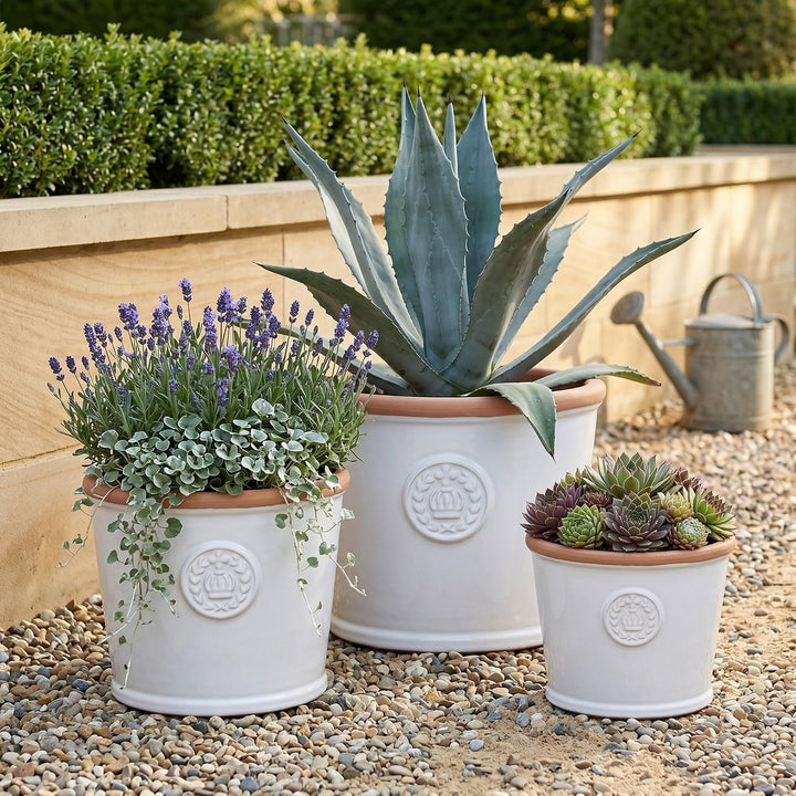Teramico Pflanzgefäss Blumentopf Übertopf Krone Steinzeug glasiert Weiss Grau 34cm 45cm absolut Fros