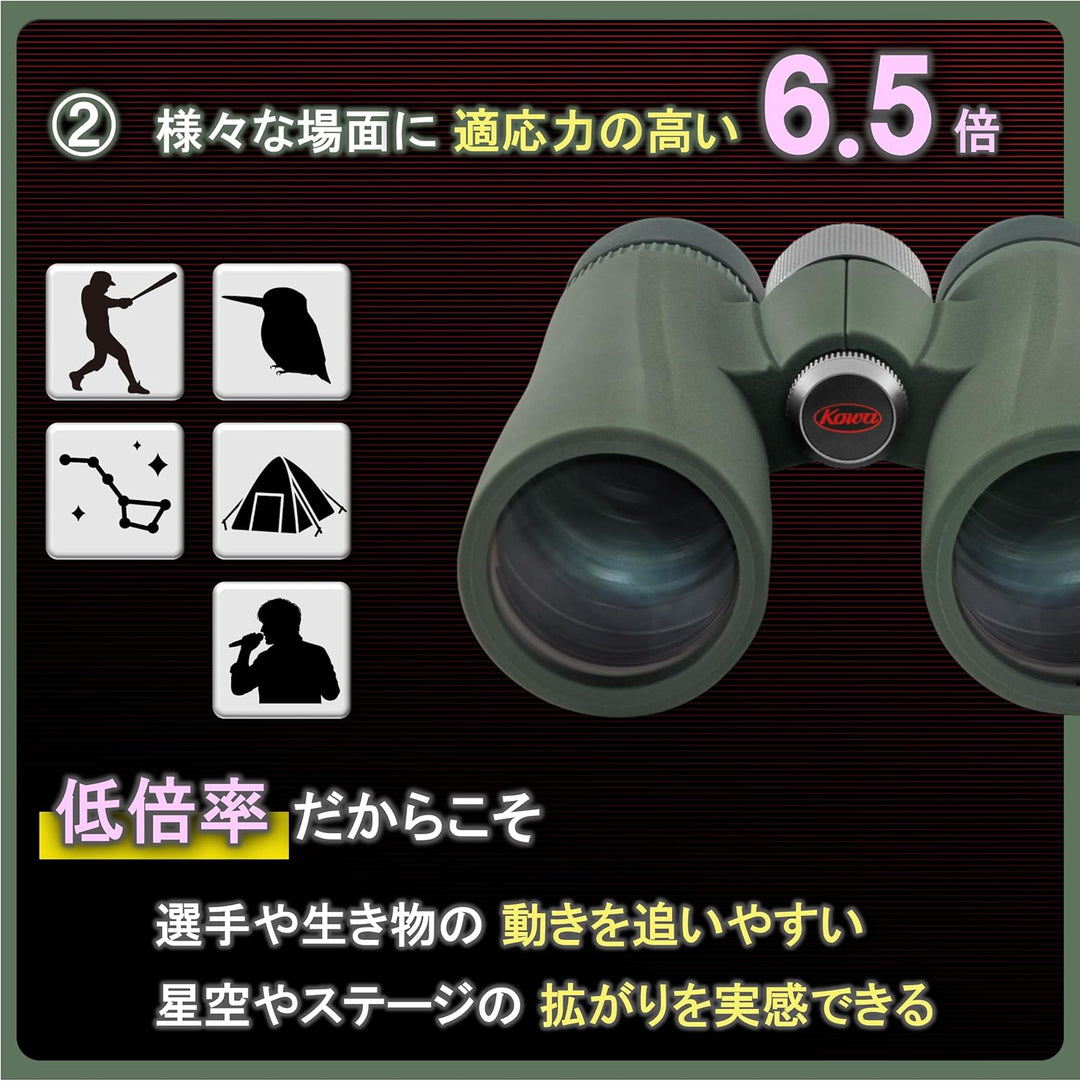 KOWA BD II 6.5X32 XD/ED-Fernglas mit sehr grossem Sehfeld. Robust und dennoch leicht. Wasserdicht, s