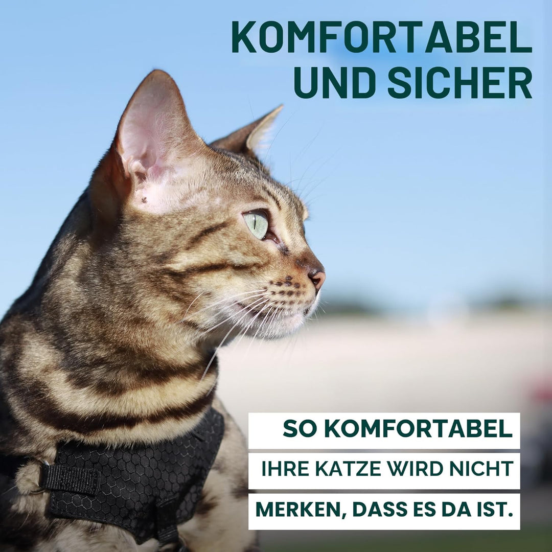 OutdoorBengal Katzengeschirr und Leine, gross, ausbruchsicher, erstickungsfrei, leicht, einfach anzu