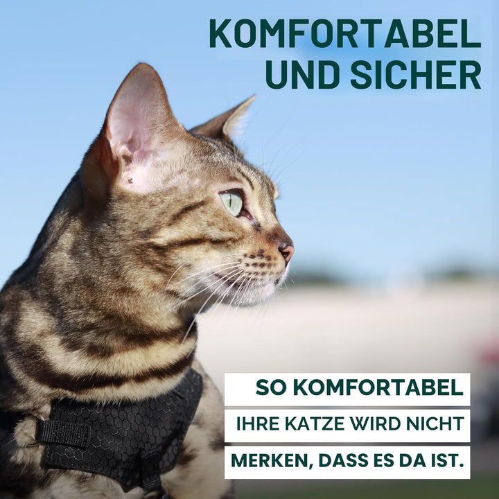 OutdoorBengal Katzengeschirr und Leine, gross, ausbruchsicher, erstickungsfrei, leicht, einfach anzu