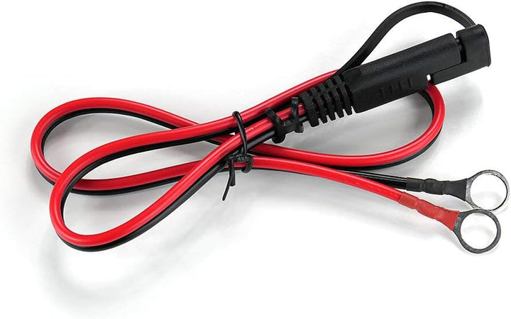 everActive KFZ Motorrad Ladegerät, 12V 24V, Spannung 10A, vollautomatisch, schnell, LED-Anzeige, Mik