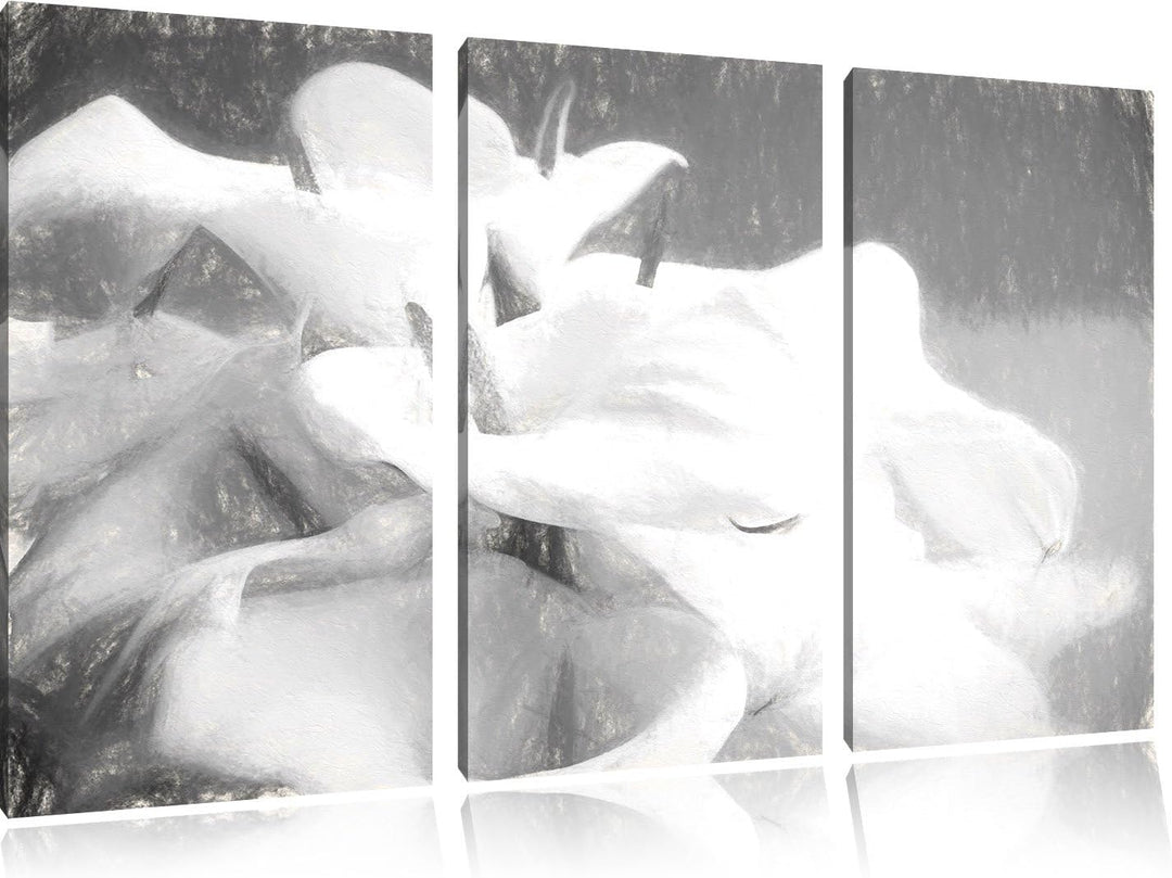 Pixxprint Calla Lilien / 3-Teilig/Gesamtmass 120cm Leinwandbild bespannt auf Holzrahmen/Wandbild Kun