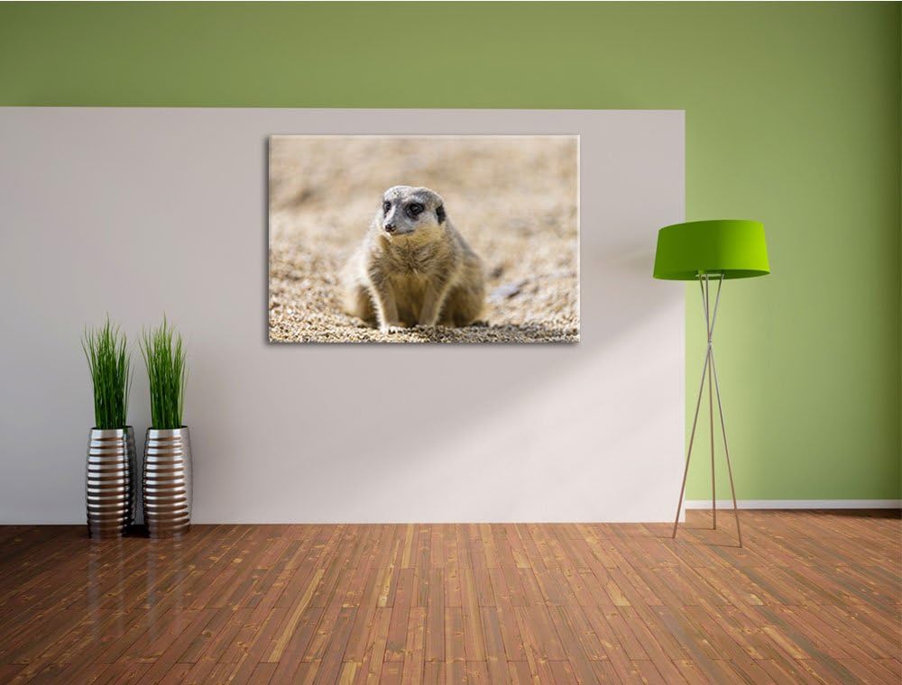 Pixxprint schüchternes Erdmännchen auf Leinwand, XXL riesige Bilder fertig gerahmt mit Keilrahmen, K