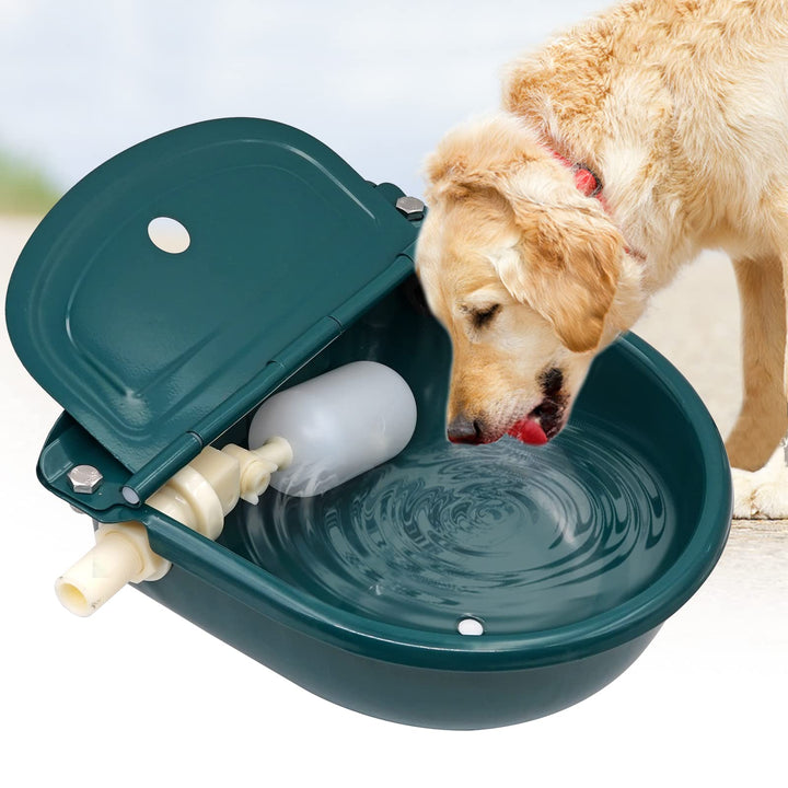 Svauoumu Tränke mit Schwimmer, Automatische Pferdetränke Aus Edelstahl mit 1/2" Schwimmerventil für