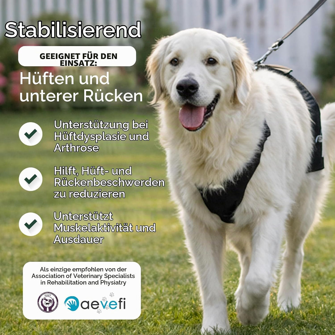 Ortocanis - Hüftorthese für Hunde - Hüftdysplasie, Hüftschmerzen oder Lokalisierten Arthrose - Stabi