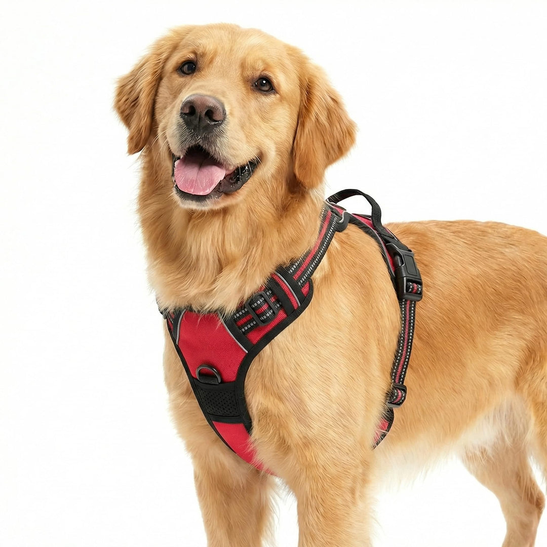 Funfox Hundegeschirr Mittelgrosse Hunde, Anti Zug Brustgeschirr Verstellbares Geschirr Hund, Antizie