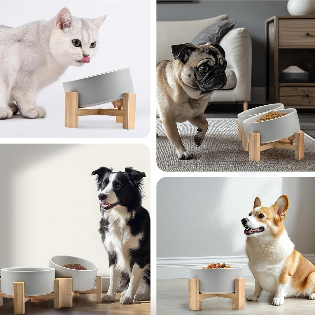 SPUNKYJUNKY 15° Kippbare Keramik Hundenapf mit Holzständer Futter und Wassernapf rutschfest für Hund