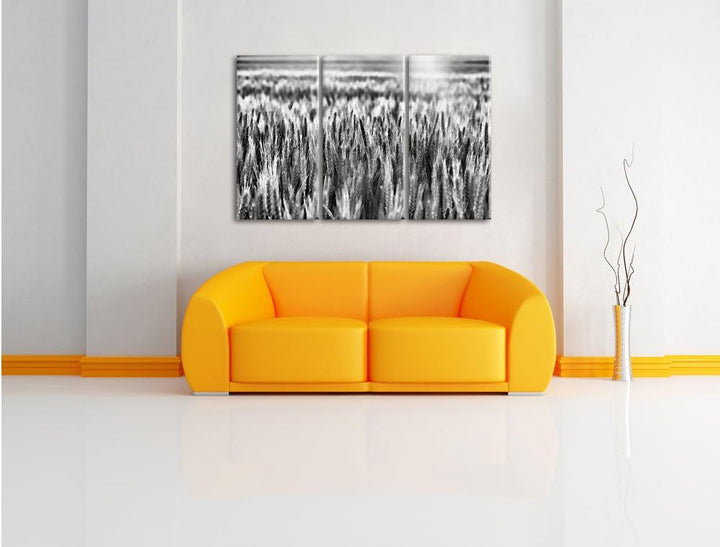 Pixxprint Getreidefeld als Leinwandbild/Grösse: 3 Teilig (120x80) cm/Wandbild/Kunstdruck/fertig besp