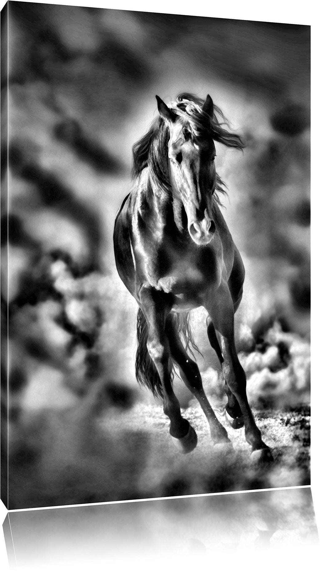 Pixxprint Elegantes schwarzes Pferd als Leinwandbild | Grösse: 100x70 cm | Wandbild | Kunstdruck | f
