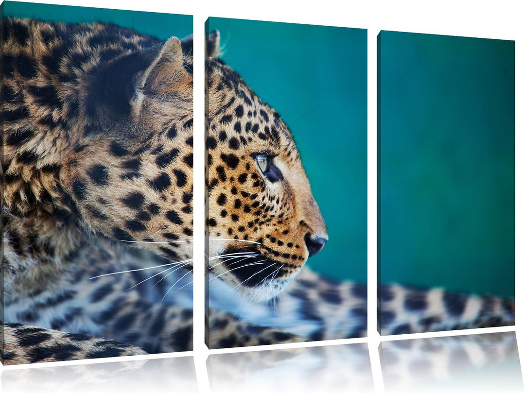 Pixxprint Wachsamer Gepard als Leinwandbild/Grösse: 3 Teilig (120x80) cm/Wandbild/Kunstdruck/fertig