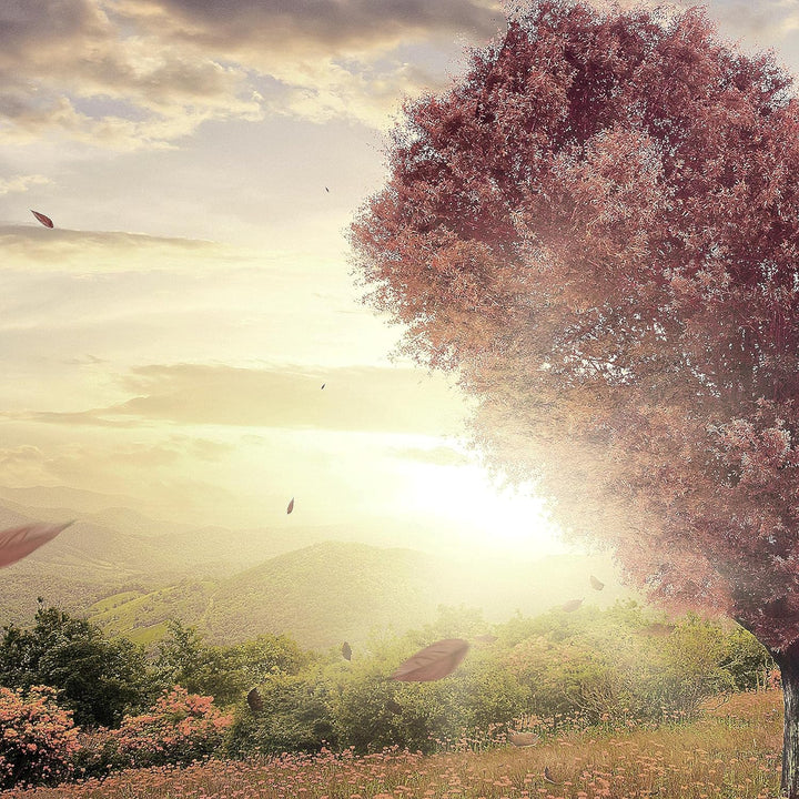 Runa Art Wandbilder Herbst Baum Herz 5 Teilig Bild auf Vlies Leinwand Deko Wohnzimmer Schlafzimmer P