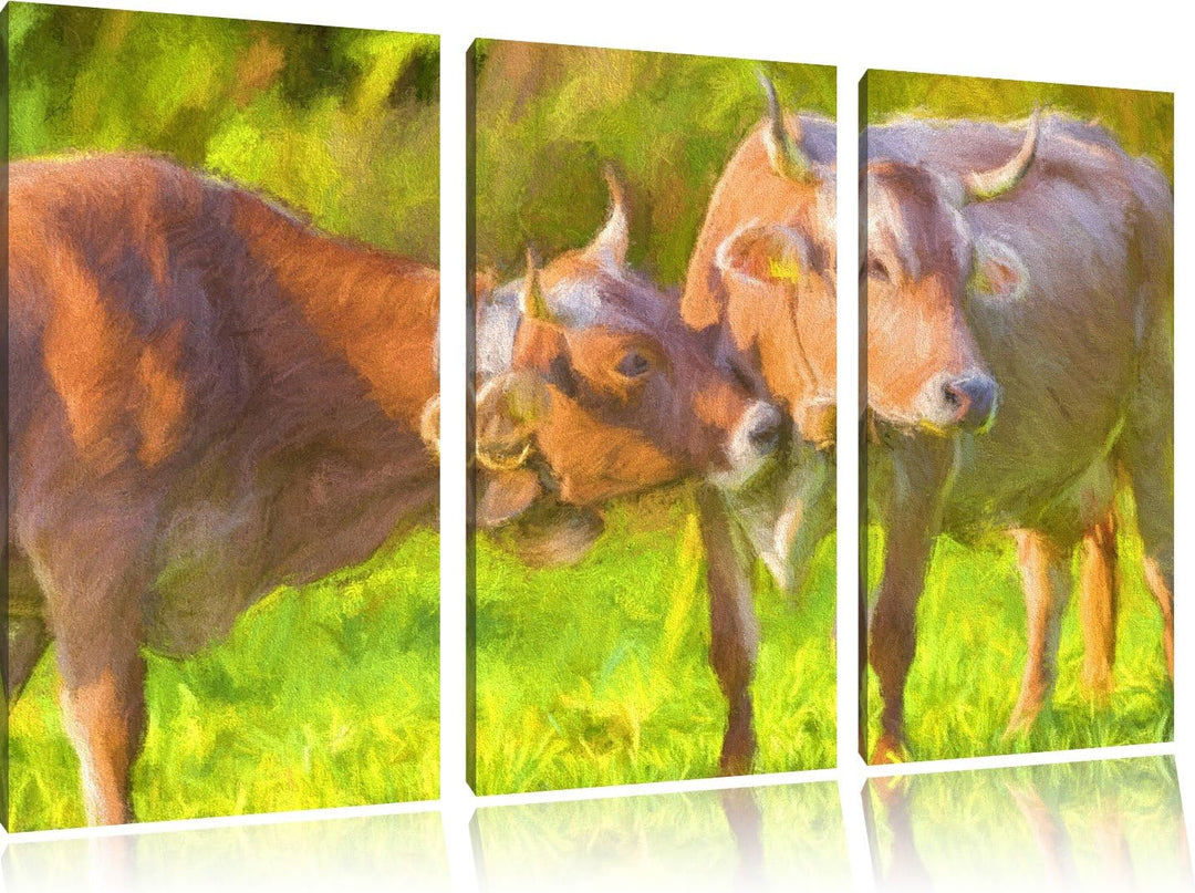 Kuhbullen auf Weide Spezial 3-Teiler Leinwandbild 120x80 Bild auf Leinwand, XXL riesige Bilder ferti
