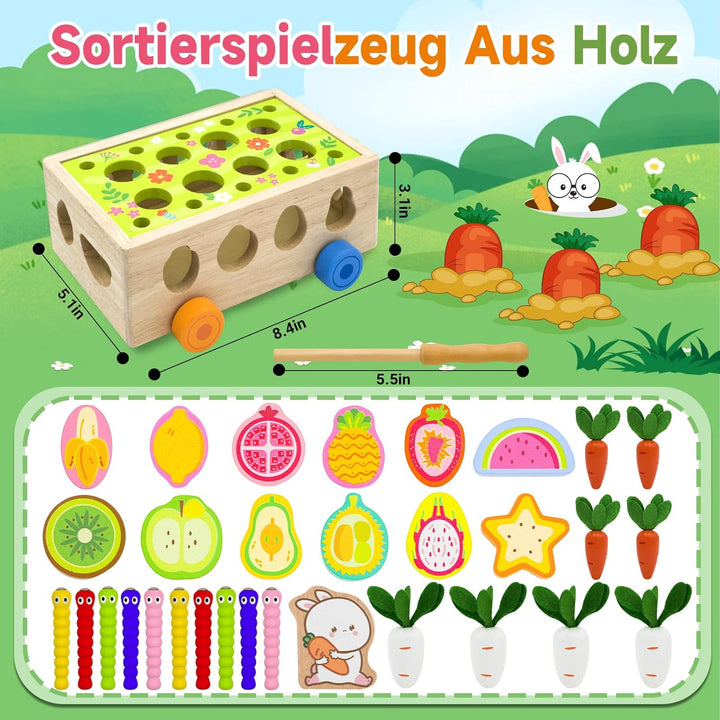 RunHero Montessori Holz Sortierspie Karotten Steckspiel Holzspielzeug ab 1 Jahr Holztiere Motorikspi