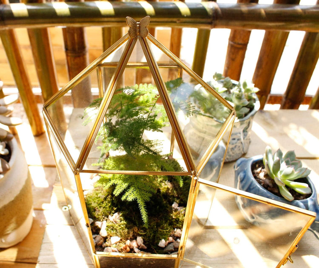 ELEGANTLIFE Geometrisches Pflanzenterrarium aus Glas, Sukkulenten- und Luft-Pflanzgefäss für Zuhause