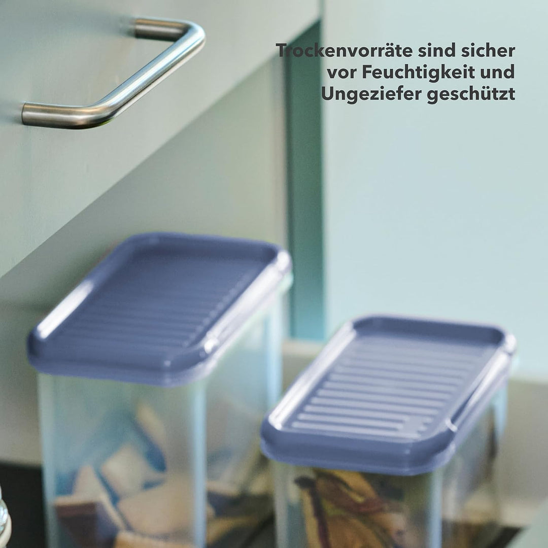 Rotho, DOMINO 18er-Set Vorratsdosen, mit dicht schliessendem Deckel, spülmaschinengeeignet, transpar