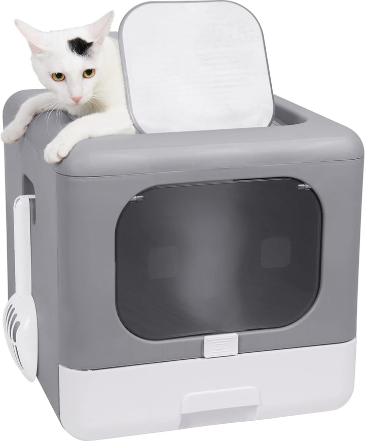 BingoPaw Katzenklo mit Deckel XXL Katzentoilette Faltbare Haustiertoilette inklusive Fronttür, Boden