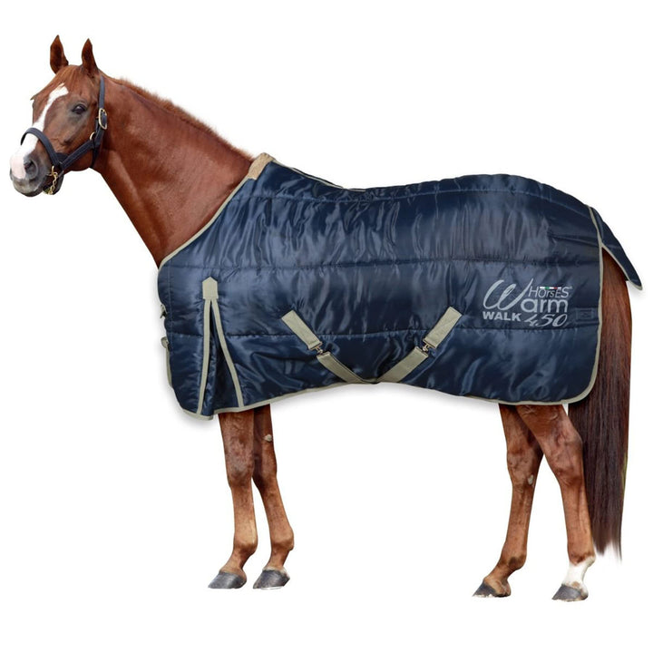 Horses, Winter Boxdecke Warm Walk für Pferd 450 gr, Gepolstert, Weich, Bequem, Ideal für Box, Widers