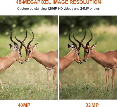 BlazeVideo 2tlg. Wildkamera 32MP 1296P HD Wildtierkamera mit Nachtsicht Bewegungsmelder, IP66 Wasser