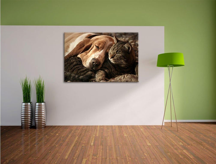 Katze und Hund kuschelnd, Format: 100x70 auf Leinwand, XXL riesige Bilder fertig gerahmt mit Keilrah