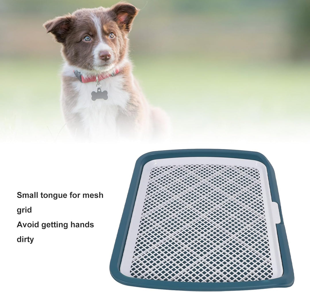 GLOGLOW Hundetoilette mit Gitter für Welpen, Abnehmbare Trainingsschale, 50 x 66 x 5 cm, Blau BLUE,