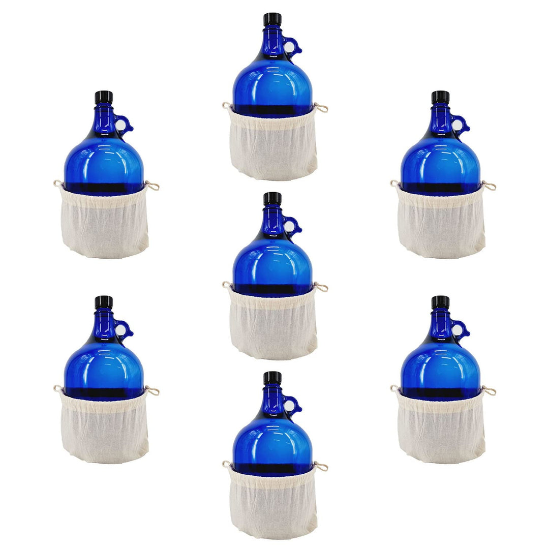 Albert's Premium Selection 5 Liter Henkelflasche/Glasballon, blau, inkl. Deckel und Baumwollbeutel (