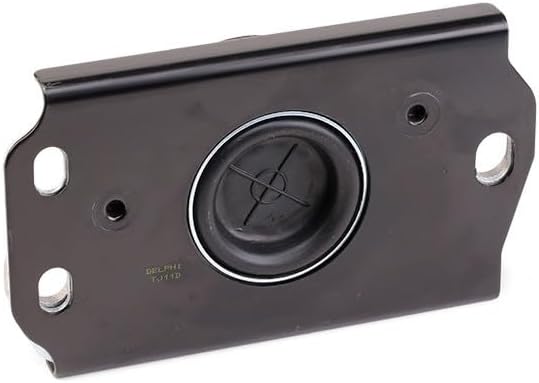 Delphi Lagerung Motor TEM043