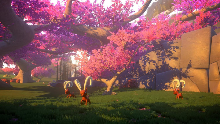 Koch Films Yonder the Cloud Catcher Enh.Ed (Playstation 5), 5060264376452