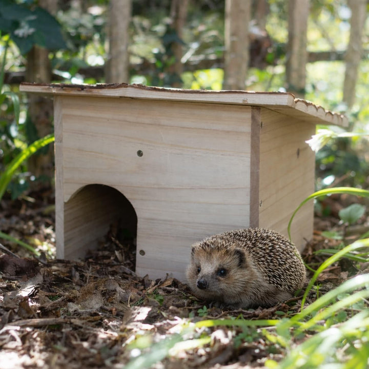 CKB LTD Bauen Sie Ihr eigenes Igelhaus aus Holz für Igel oder Meerschweinchen, Outdoor-Unterschlupf