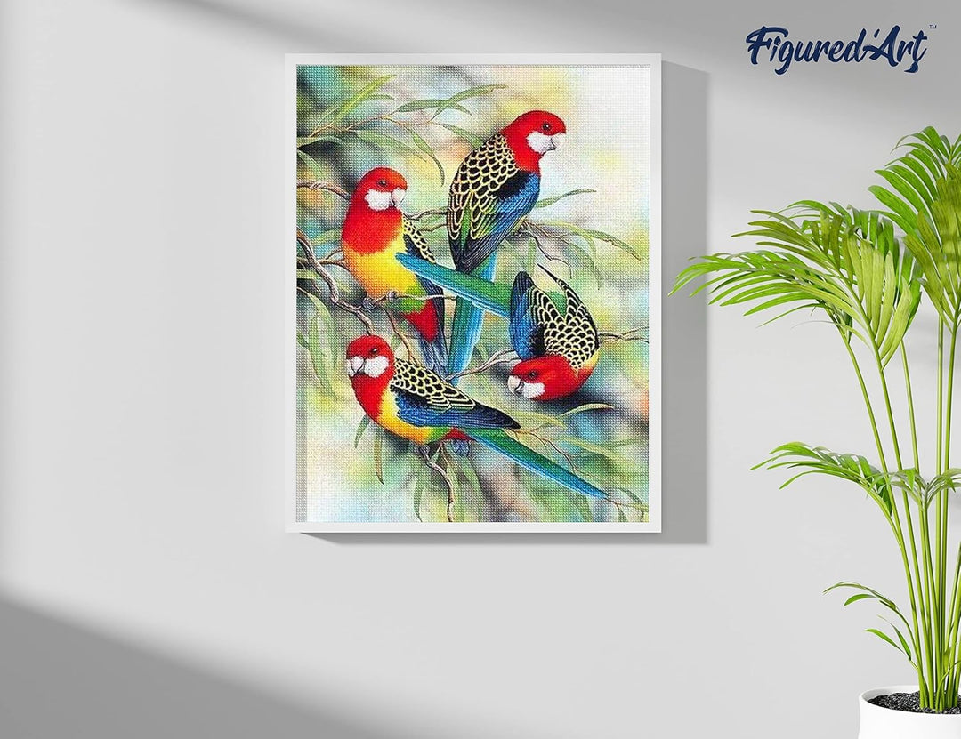 Figured'Art Diamond Painting Erwachsene 40x50cm Ganze Leinwand gerollt Papageien auf Niederlassung 5