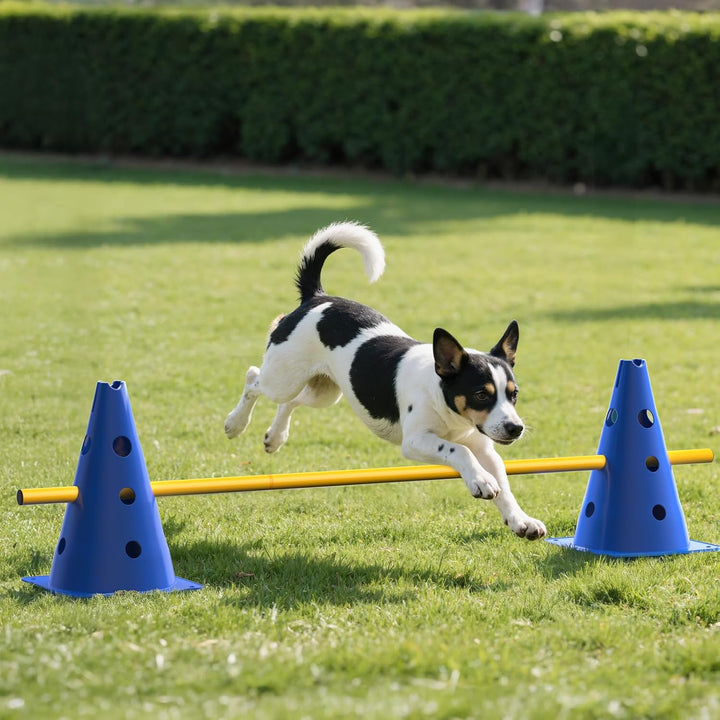 GHB Steckhürdenset 12 Kegel 18 Stangen, Agility Hürden Set Hunde, Fussball Trainingszubehör für Koor