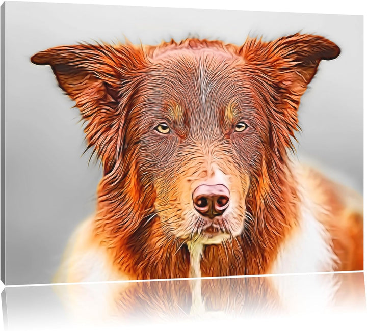 bildschöner Australian Shepherd Mischling Format: 100x70 auf Leinwand, XXL riesige Bilder fertig ger