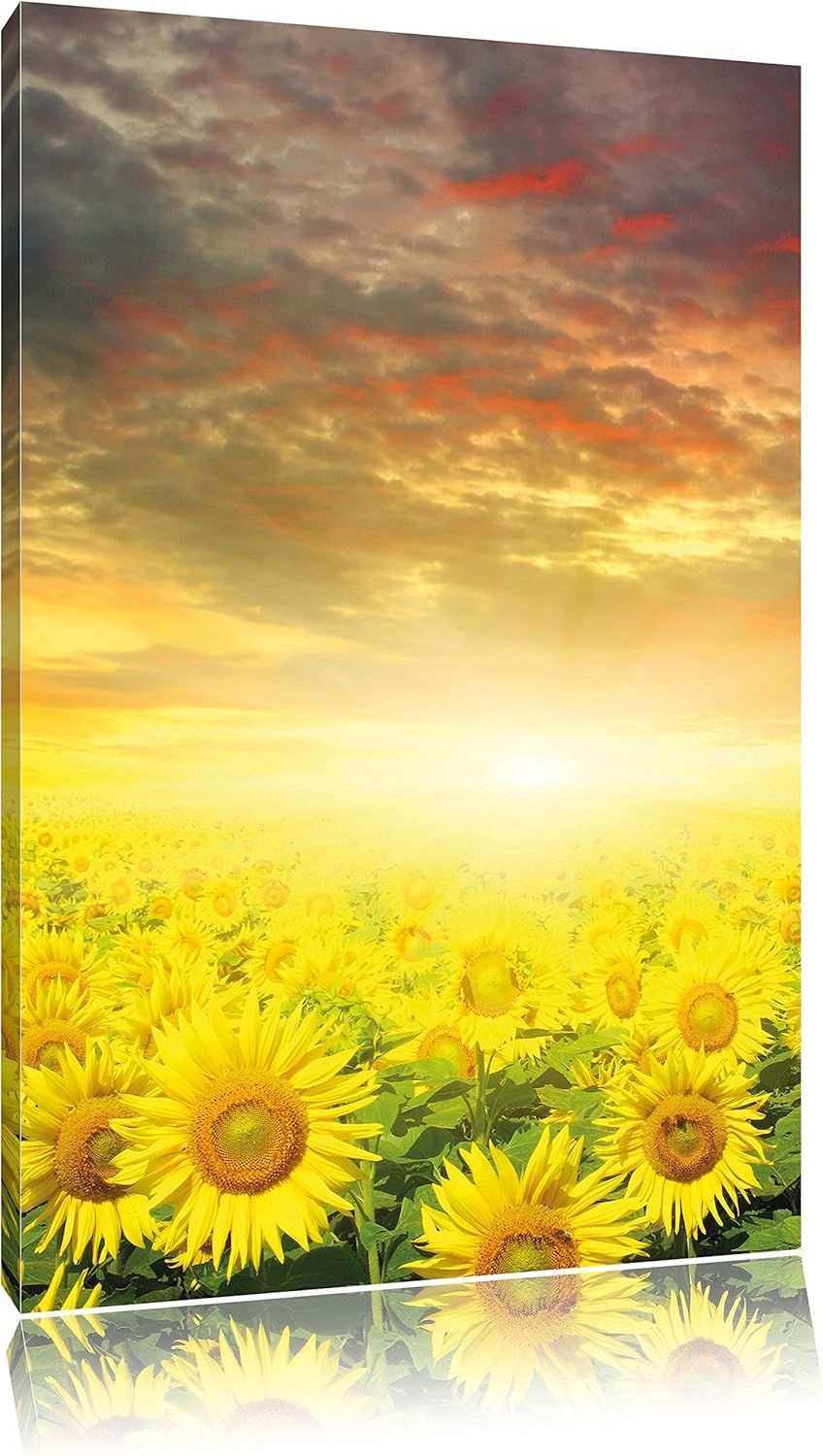 Sonnenblumenfeld, Format: 100x70 auf Leinwand, XXL riesige Bilder fertig gerahmt mit Keilrahmen, Kun