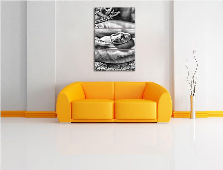 Pixxprint gelbe Schlange / 3-Teilig/Gesamtmass 120cm Leinwandbild bespannt auf Holzrahmen/Wandbild K