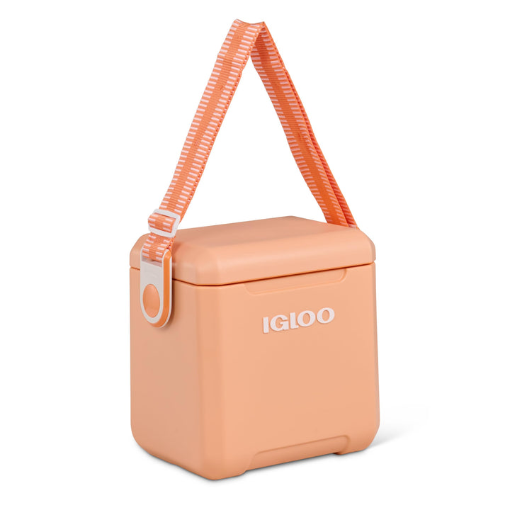 Igloo Passiv-Kühlbox Tag Along Too Apricot, Apricot