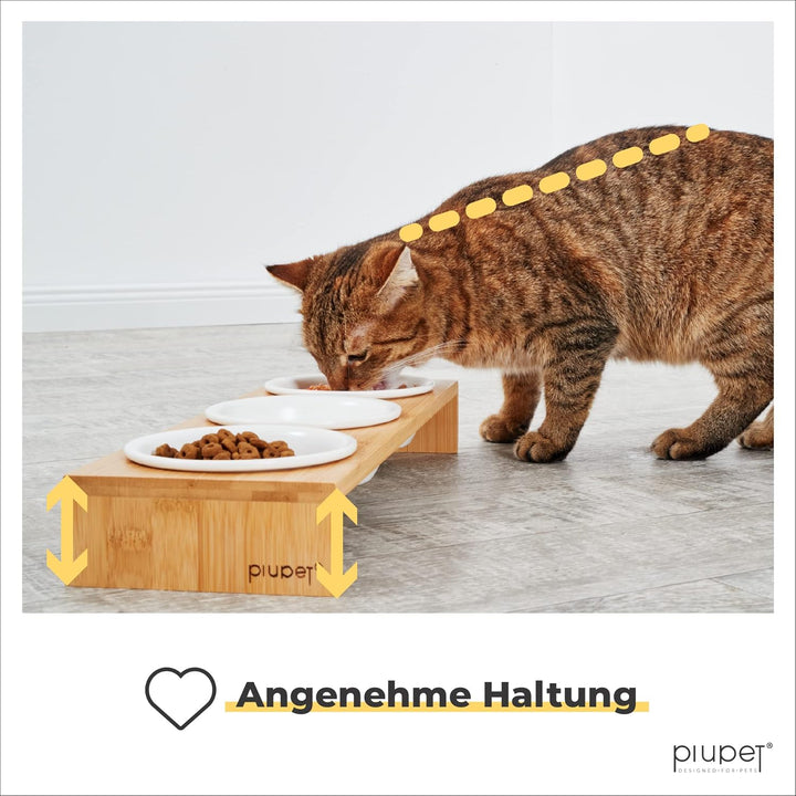 PiuPet® Katzennapf 3er Set I 250ml I Spülmaschinenfest I Erhöhte Futternäpfe für Katzen &amp; kleine Hun