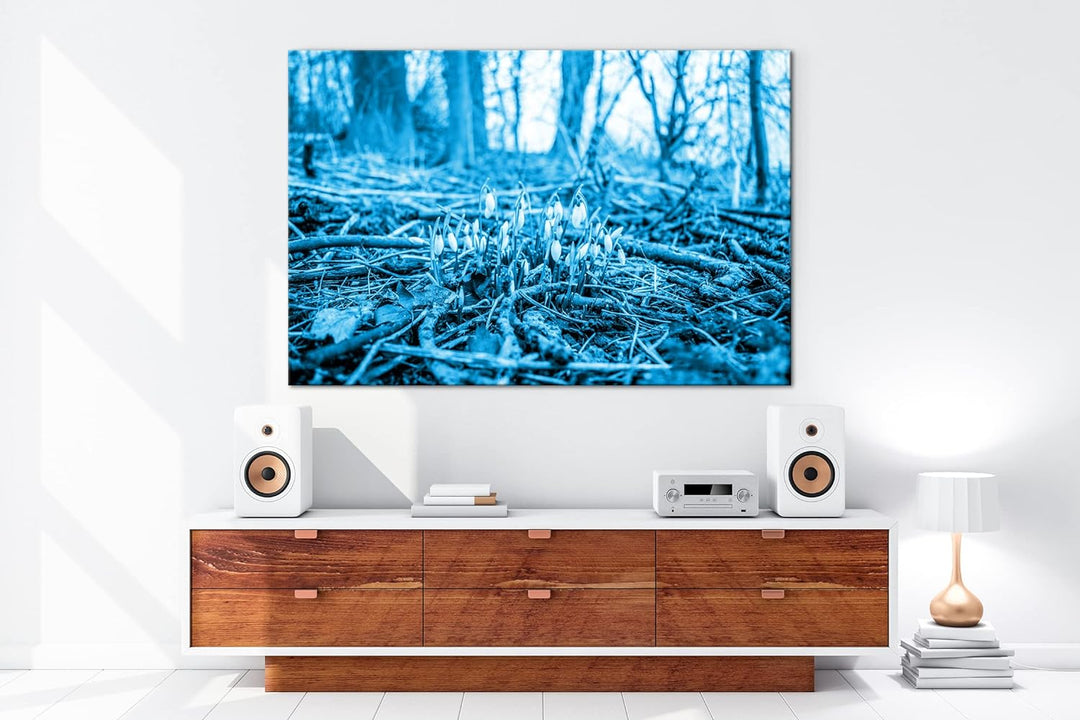 deyoli Der Frühling kommt - wachsende Schneeglöckchen Format: 80x60 Effekt: Monocrome Blau als Leinw