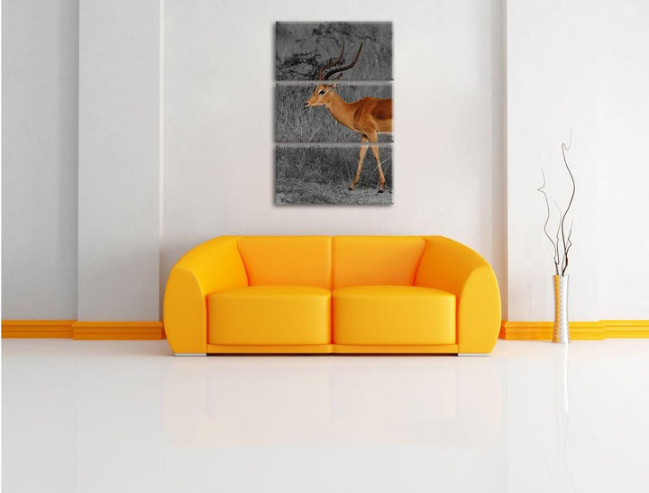 Pixxprint bildschöne Dorkasgazelle in der Savanne schwarz/weiss 3-Teiler Leinwandbild 120x80 Bild au