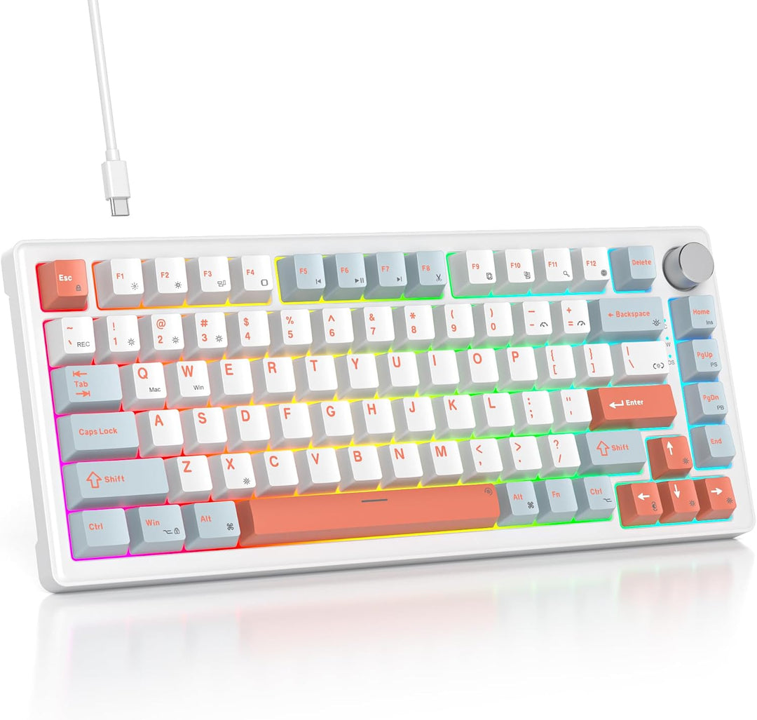 SOLIDEE Verkabelte Mechanische Gaming Tastatur 75 Prozent,hot-swap-fähige Mechanische Tastatur mit G