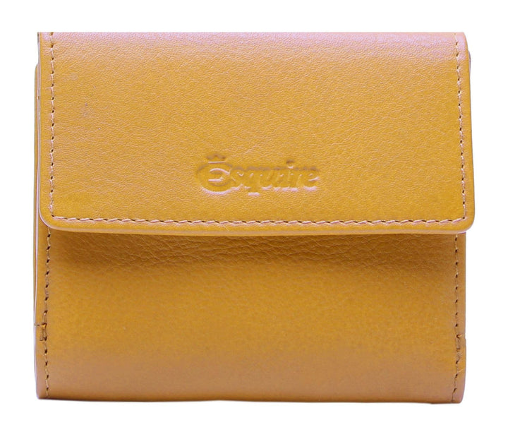 Esquire Peru Geldbörse RFID Leder 10 cm