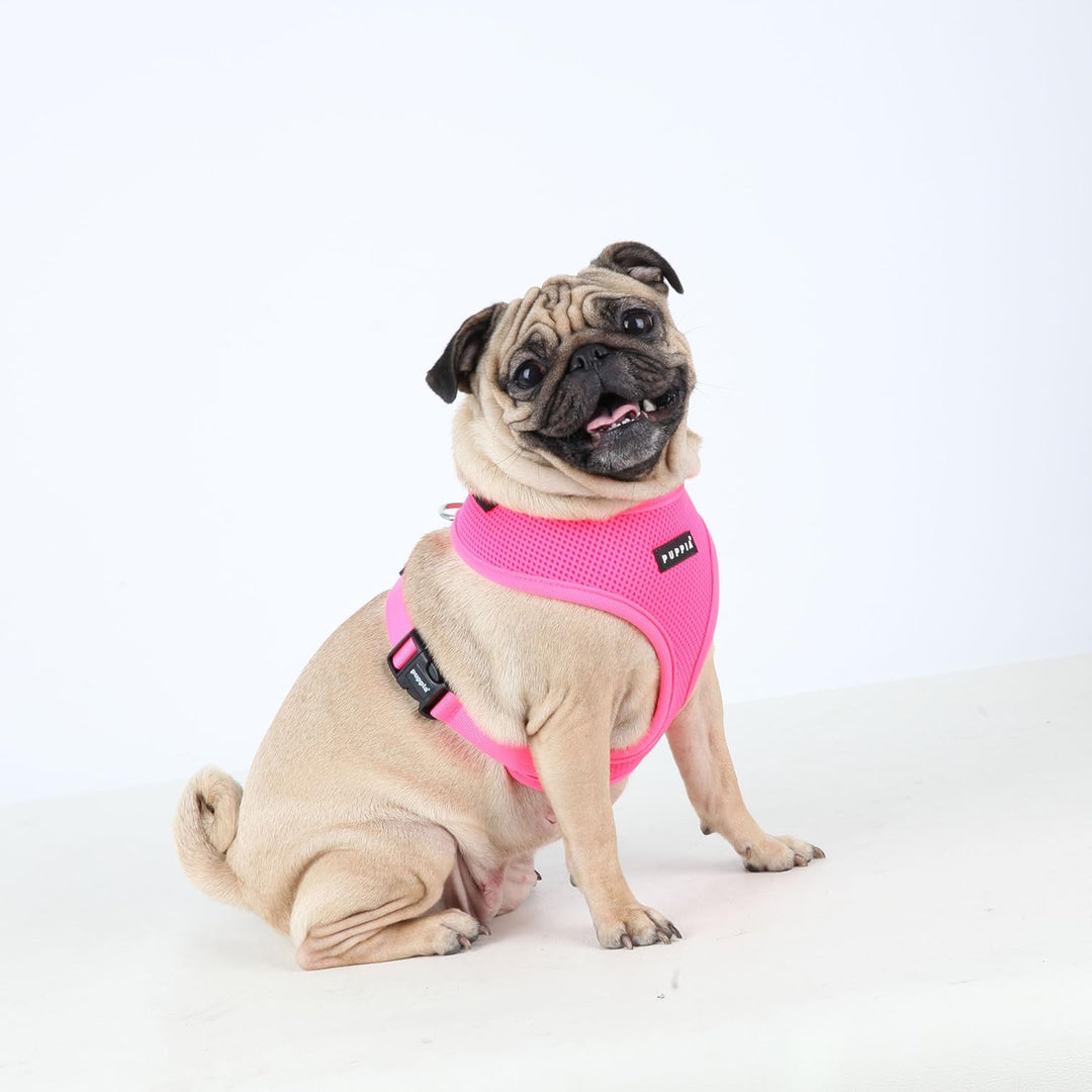 Puppia Hundegeschirr in Neonfarben - Hochwertig und Komfortabel - Auch als Welpengeschirr verwendbar
