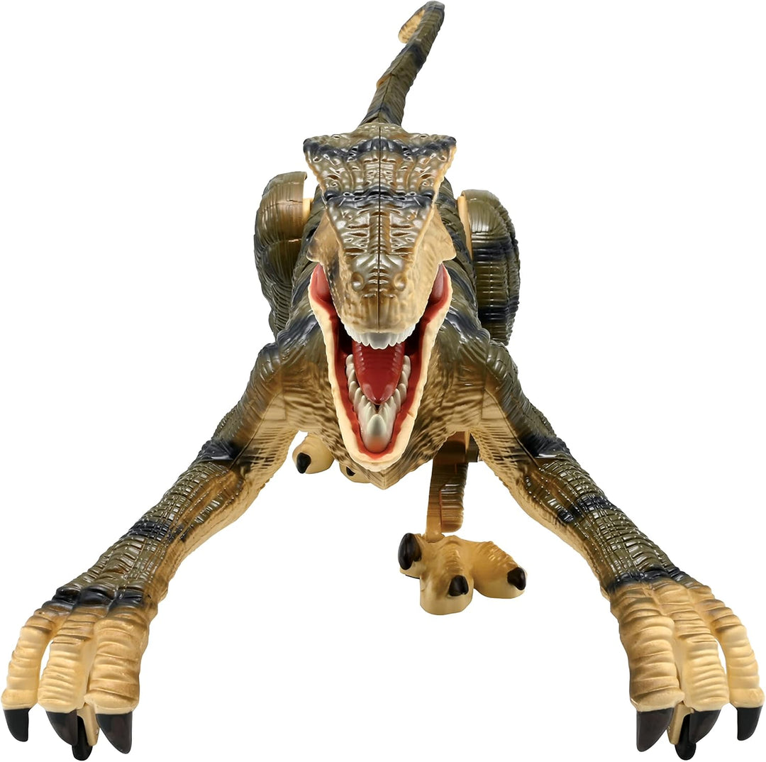 Lexibook, RC Raptor Control, realistischer Ferngesteuerter Dinosaurier, gelenkige Bewegungen, Brülle