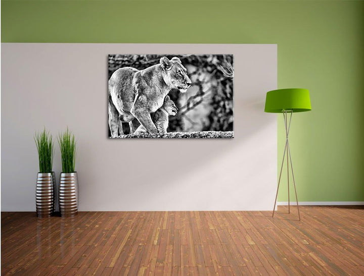 Pixxprint Monocrome, Löwenmutter mit Jungtier, Format: 100x70 auf Leinwand, 100x70