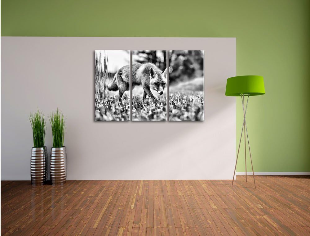 Pixxprint Schöner Fuchs als Leinwandbild/Grösse: 3 Teilig (120x80) / Wandbild/Kunstdruck/fertig besp
