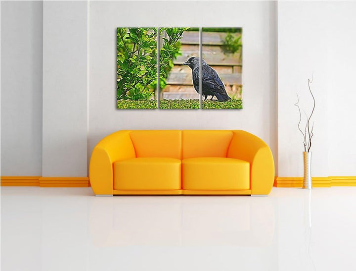 schöner schwarzer Vogel auf Gartenwiese NewArt 3-Teiler Leinwandbild 120x80 Bild auf Leinwand, XXL r