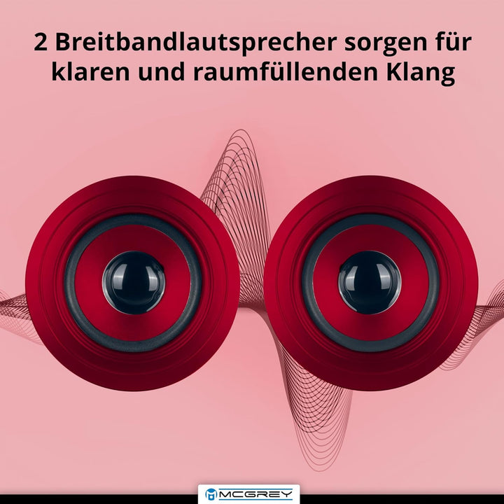 McGrey BS-20 Beachside Bluetooth Akku-Lautsprecher - Tragbare Musikbox mit Bluetooth, FM-Radio, USB/