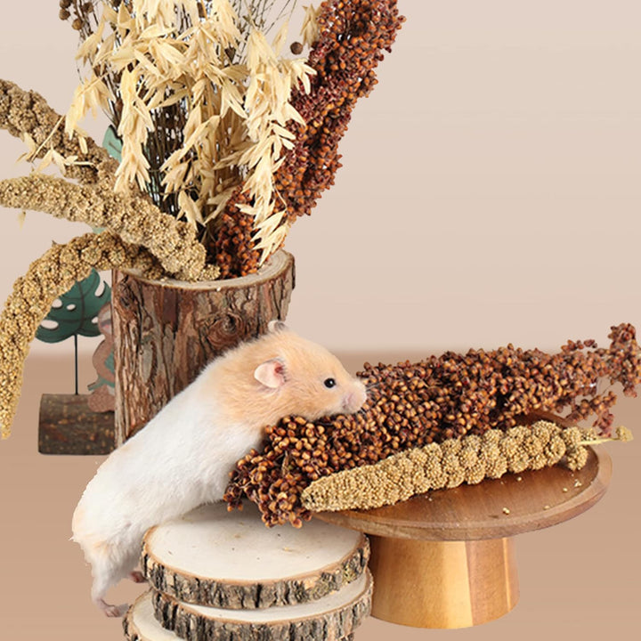Natürliche Ähren aus Getreide Blumen und Kräuter, Einstreu, Lebensraum-Dekoration, lustiges Hamster-