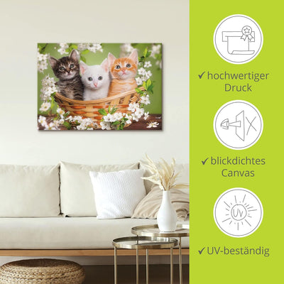 Artland Leinwandbild Wandbild Bild auf Leinwand 70x50 cm Wanddeko Katze Tiere Katzenbaby Baby Landha