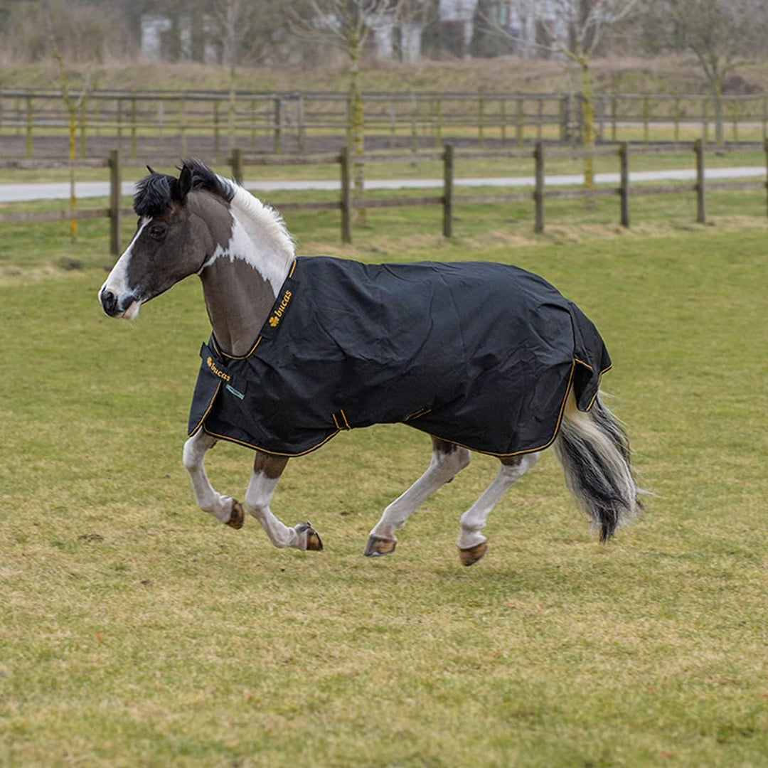 Bucas Irish Turnout Light 50g Classic 1200D - Pony - black/gold, Groesse:85, 85