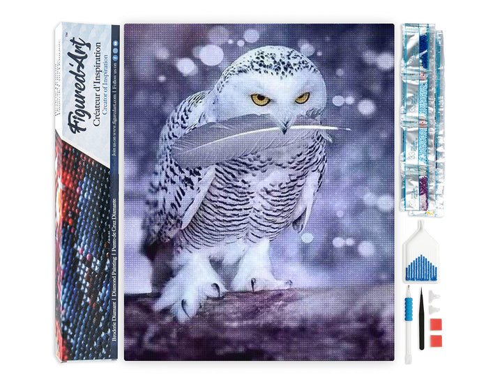 Figured'Art Diamond Painting Erwachsene 40x50cm Ganze Leinwand gerollt Eulenfeder 5D Bilder Eckige S